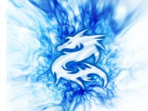blue flame with dragon logo